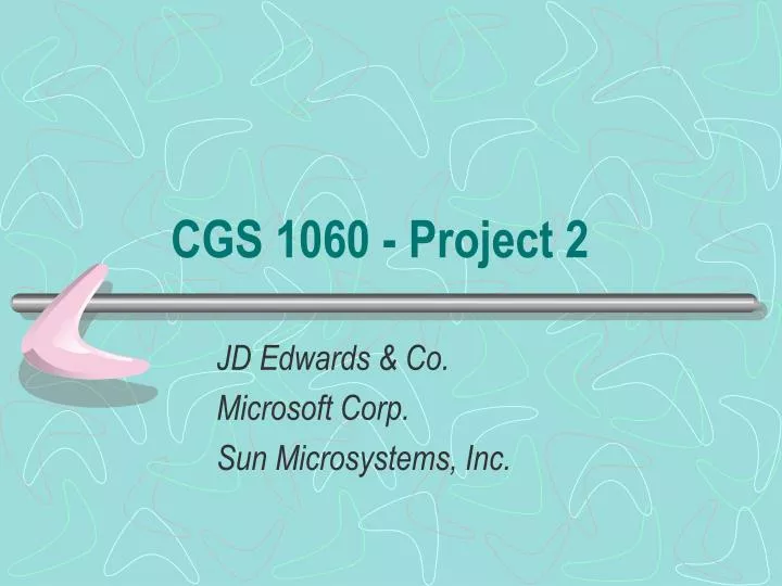 cgs 1060 project 2