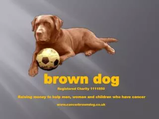 brown dog Registered Charity 1111550 Raising money to help men, women and children who have cancer www.cancerbrowndog.c