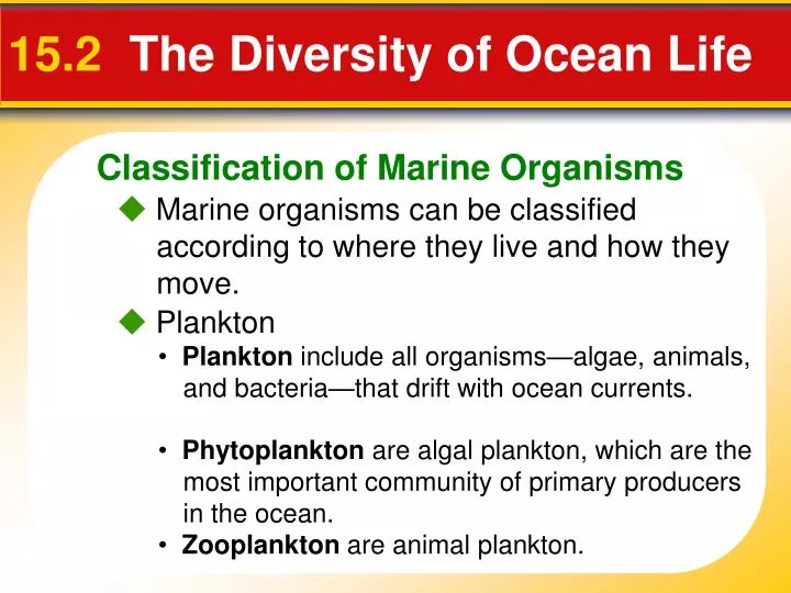 15 2 the diversity of ocean life