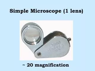 Simple Microscope (1 lens)