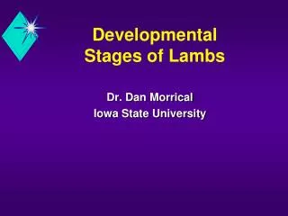 Developmental Stages of Lambs