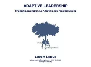 ADAPTIVE LEADERSHIP Changing perceptions &amp; Adopting new representations