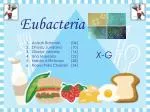 Eubacteria - slide 1