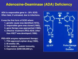Adenosine-Deaminase (ADA) Deficiency