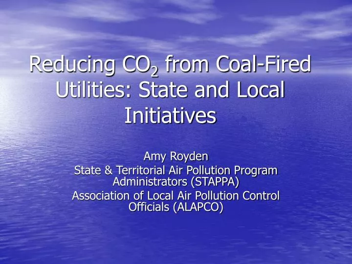 reducing co 2 from coal fired utilities state and local initiatives