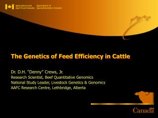 The Genetics of Feed Efficiency in Cattle