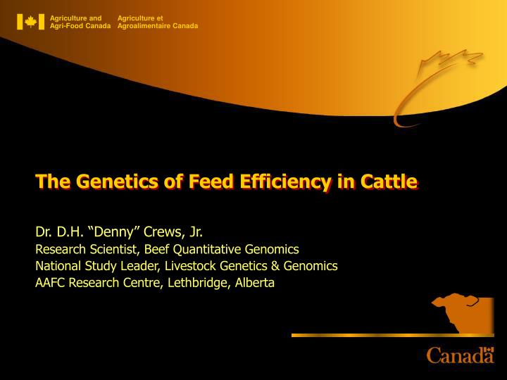 the genetics of feed efficiency in cattle
