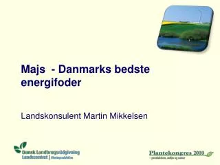 Majs - Danmarks bedste energifoder