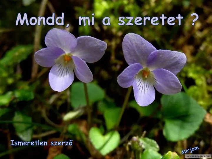 mondd mi a szeretet