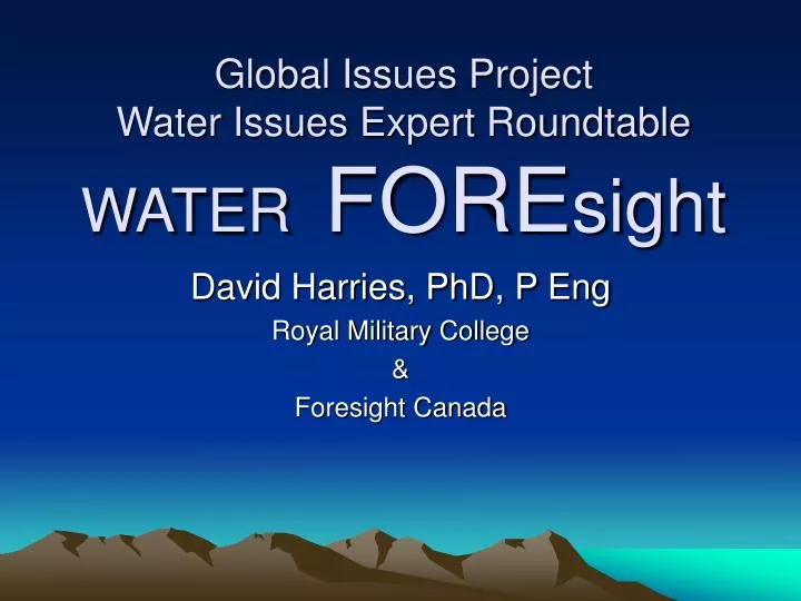 global issues project water issues expert roundtable water fore sight