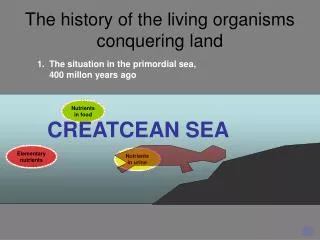 The history of the living organisms conquering land