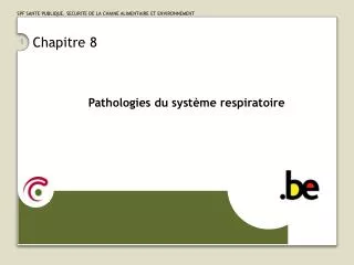chapitre 8
