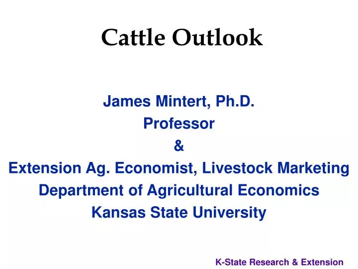 cattle outlook