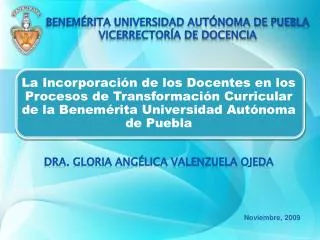 noviembre 2009