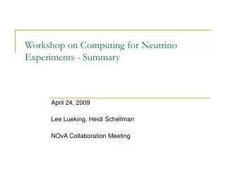 Workshop on Computing for Neutrino Experiments - Summary