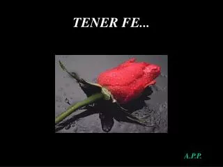 tener fe