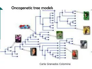 Oncogenetic Tree Models