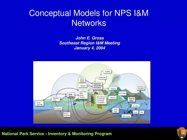 conceptual models for nps i m networks