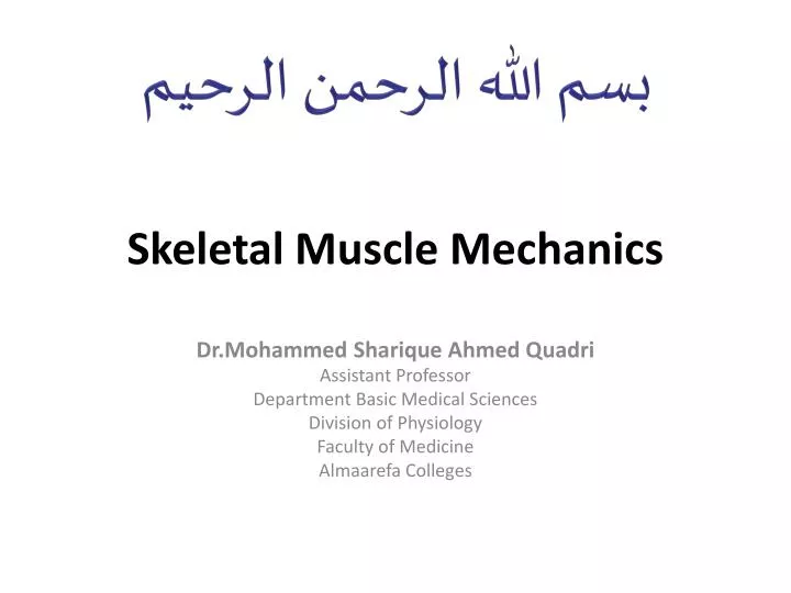 skeletal muscle mechanics