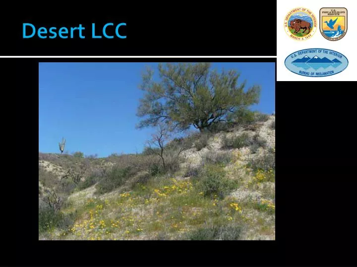 desert lcc