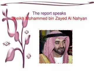 The report speaks Sheikh Mohammed bin Zayed Al Nahyan