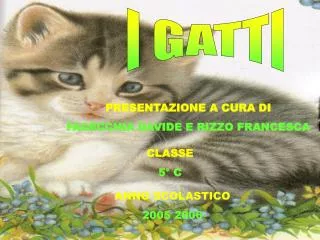 I GATTI