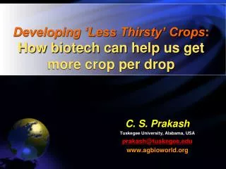 Developing ‘Less Thirsty’ Crops : How biotech can help us get more crop per drop