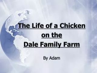 The Life of a Chicken on the Dale Family Farm By Adam