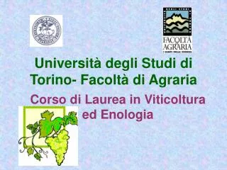 Università degli Studi di Torino- Facoltà di Agraria