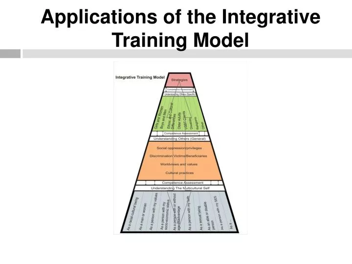 applications of the integrative training model