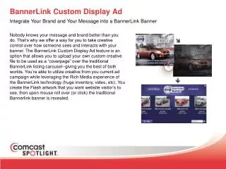 BannerLink Custom Display Ad