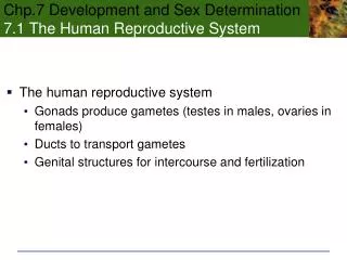 Chp.7 Development and Sex Determination 7.1 The Human Reproductive System