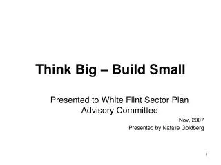 Think Big – Build Small
