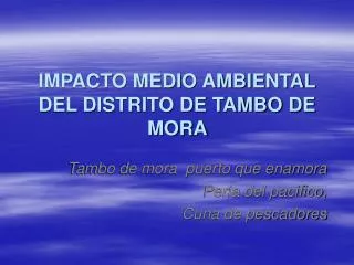 IMPACTO MEDIO AMBIENTAL DEL DISTRITO DE TAMBO DE MORA