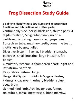 Frog Dissection Study Guide