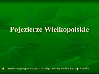 Pojezierze Wielkopolskie