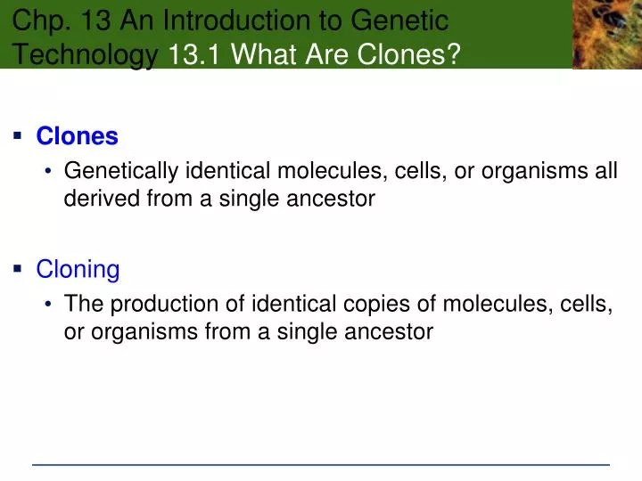 chp 13 an introduction to genetic technology 13 1 what are clones