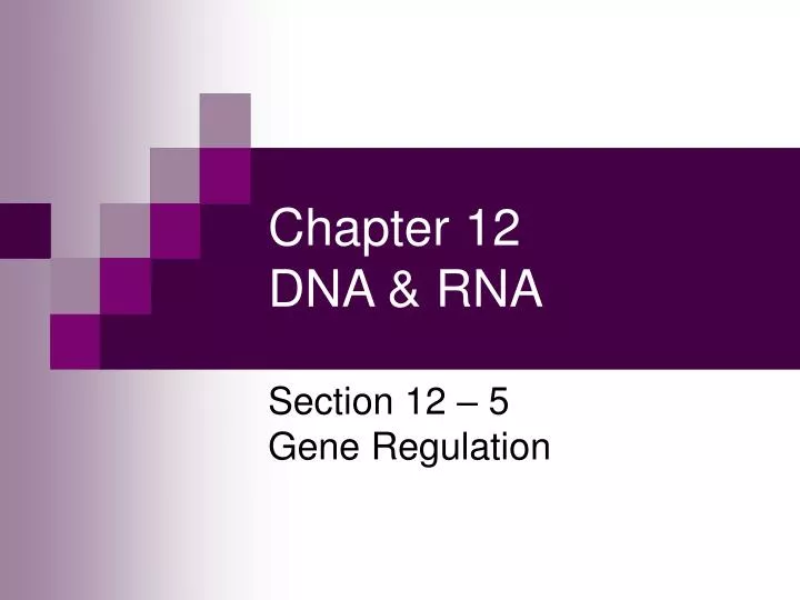 chapter 12 dna rna