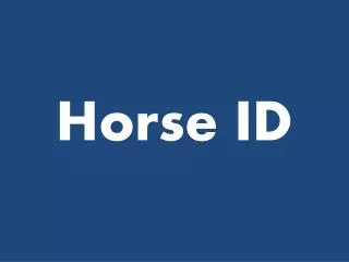 Horse ID