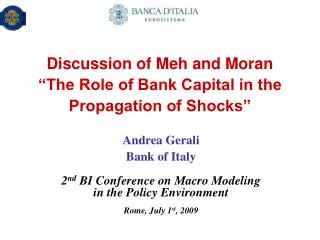Discussion of Meh and Moran “The Role of Bank Capital in the Propagation of Shocks”
