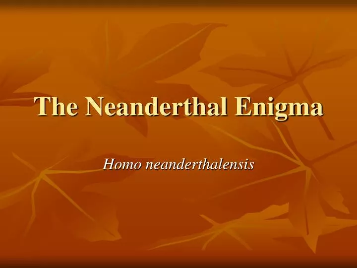 the neanderthal enigma