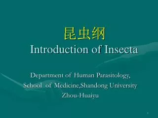introduction of insecta