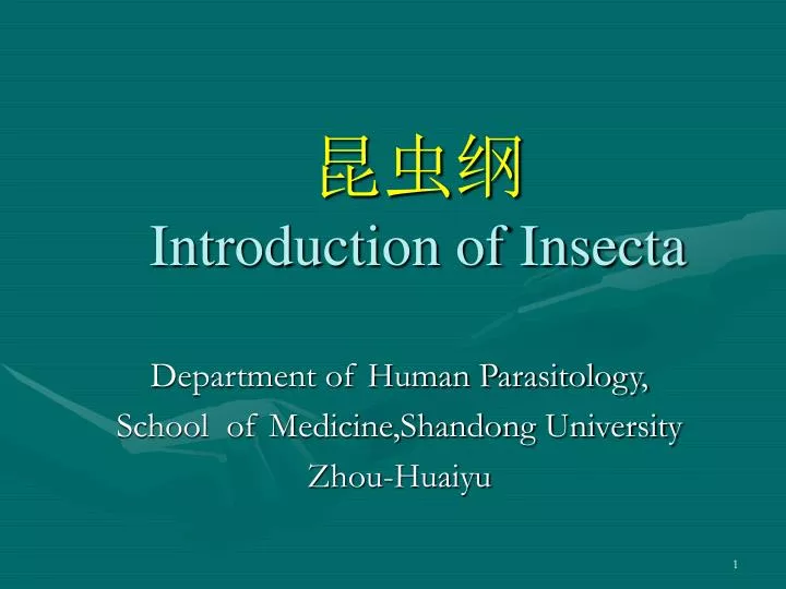 introduction of insecta