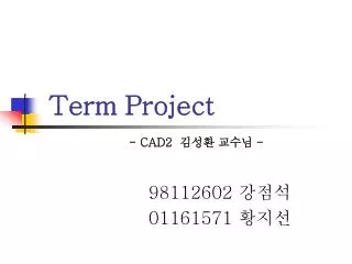term project