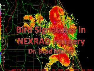 Bird Signatures in NEXRAD Imagery Dr. Brad Muller