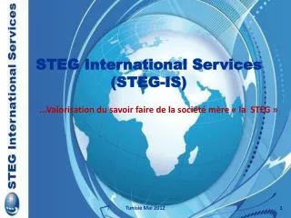 STEG International Services (STEG-IS)