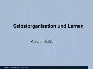 selbstorganisation und lernen
