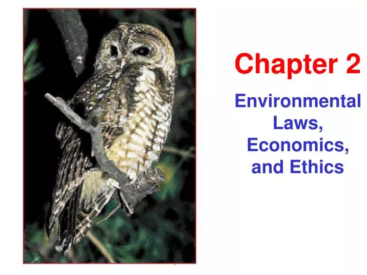 environmental laws economics and ethics