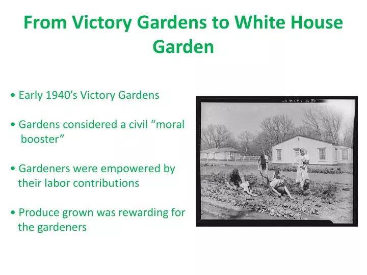 from victory gardens to white house garden