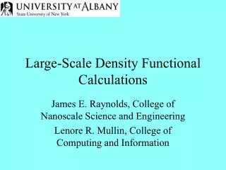 Large-Scale Density Functional Calculations